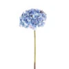 Hydrangea Stem, Blue