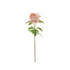 Peony Stem, Pink Fresh Touch