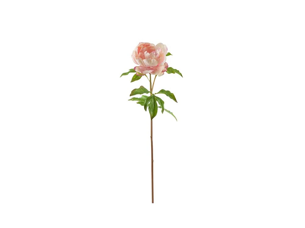Peony Stem, Pink Fresh Touch 1 Peony Stem, Pink Fresh Touch