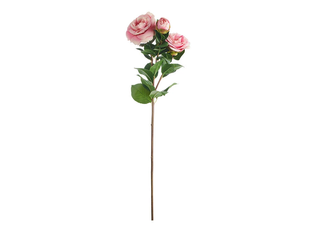Camellia X3 Blooms Stem, Pink 1 Camellia X3 Blooms Stem, Pink