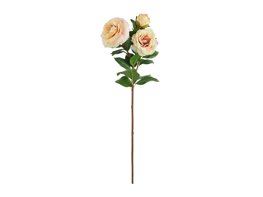 Camellia X3 Blooms Stem, Yellow 1 Camellia X3 Blooms Stem, Yellow