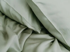 NakedLab Duvet Cover, 100% Bamboo -Home Decor Shop 066027NOALGR French Sage Pillowcase Set of 2 100 Bamboo 02 2