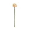 Ranunculus Stem, Pink