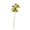 Sunflower Stem, Yellow