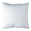 Hollowfiber Cushion Pad For 50x50cm, 750g