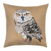 Olly Owl Cushion Cover, 50x50cm